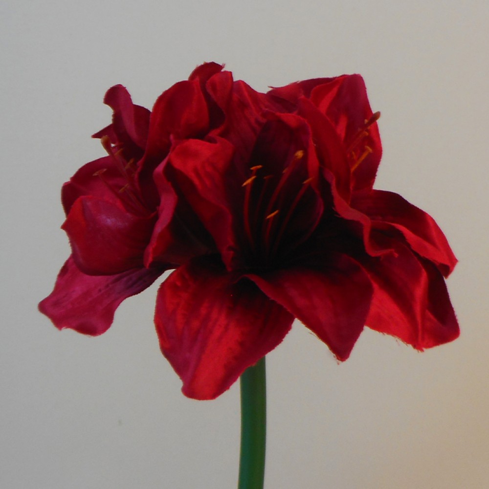 Artificial Amaryllis Red 40cm Silk Flowers